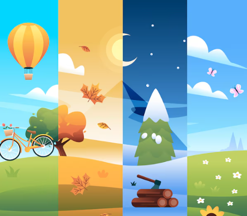 Seasonal Collection